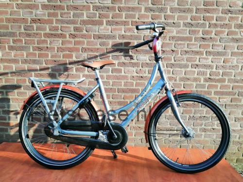 Batavus Amigo specificaties 